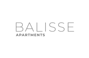 logo-balisse